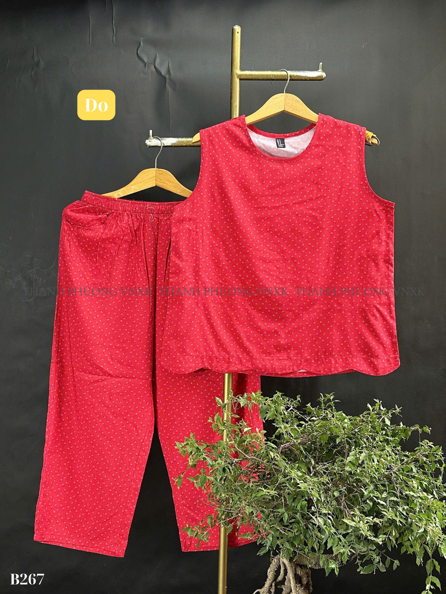 B267 BO NU F21 DAI (L7-4)_thumbnail_9