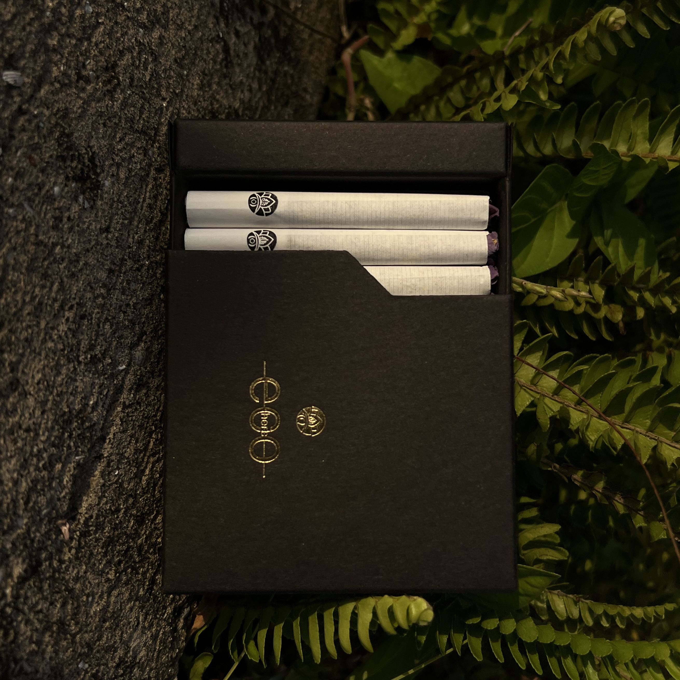 Thanh thảo mộc Eco Herb - Original - PrimePack | Natural's Heal_thumbnail_1