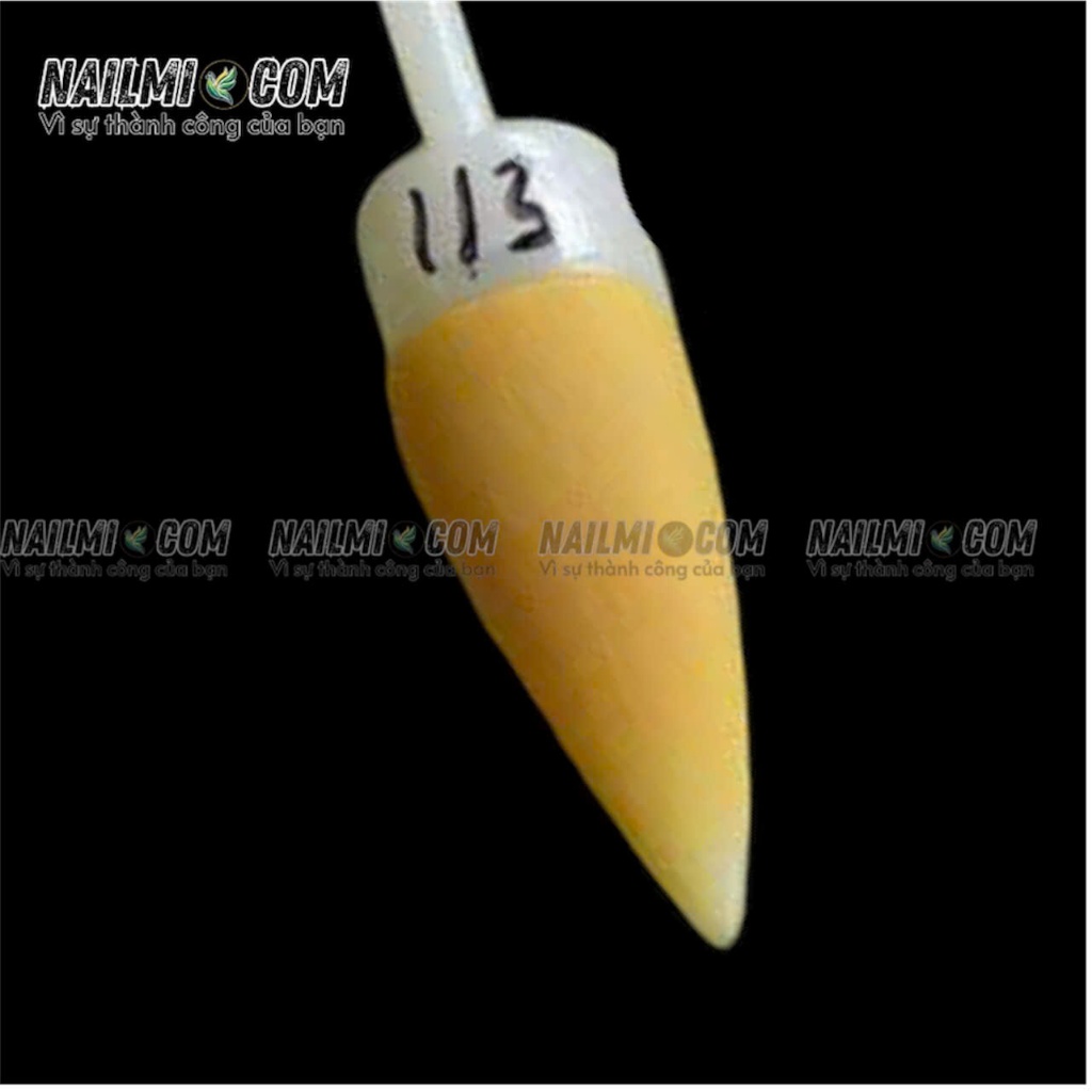 Bột đắp 3in1 - form - ombre - đắp hoa - mã 113