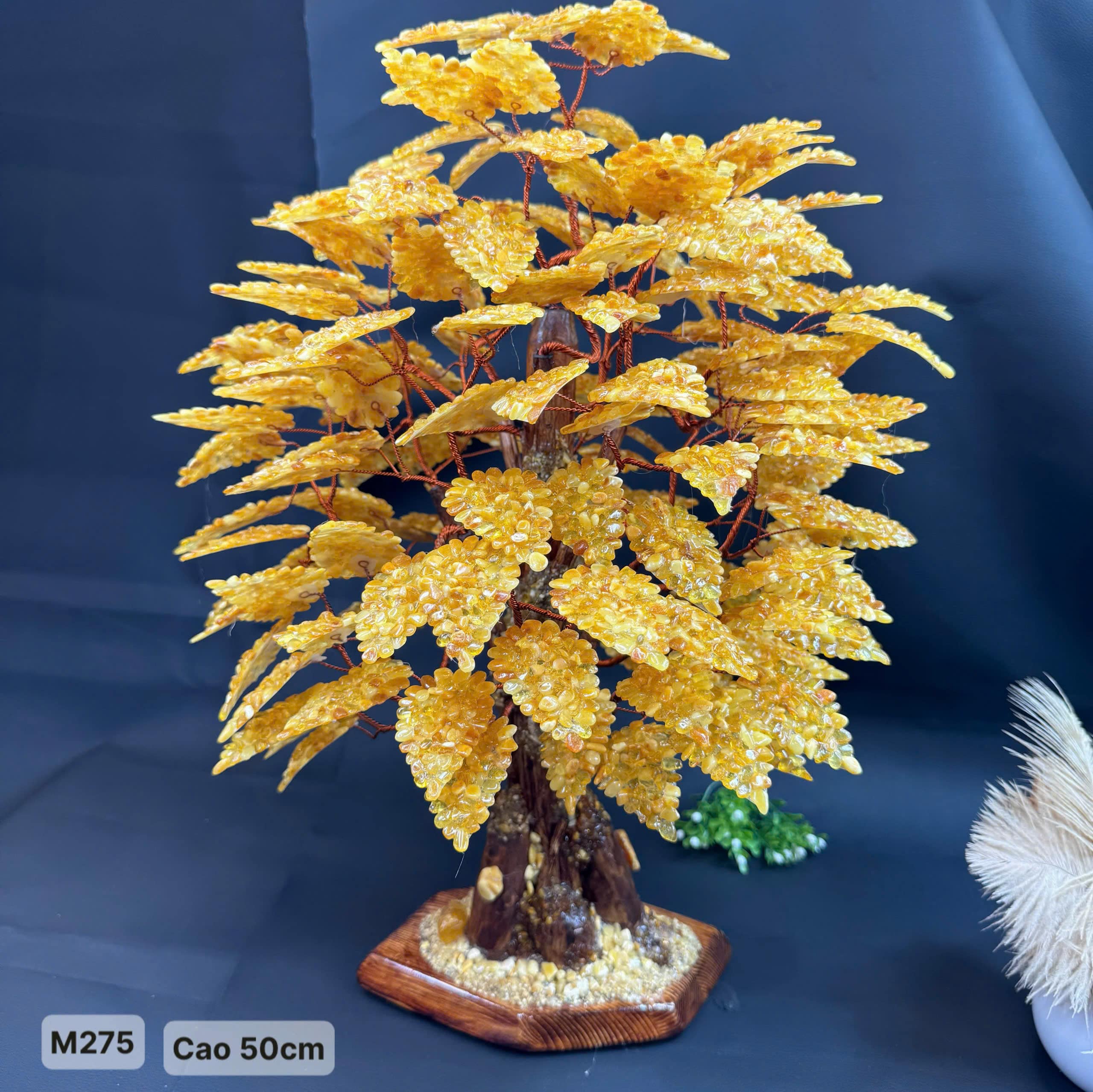 Cây Hổ Phách Cao 50cm - M275