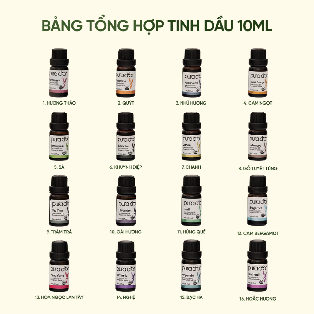 Bộ 16 Tinh Dầu Hữu Cơ PURA D’OR Sweet 16 Essential Oil Set - USDA Organic (10mlx16)_thumbnail_3