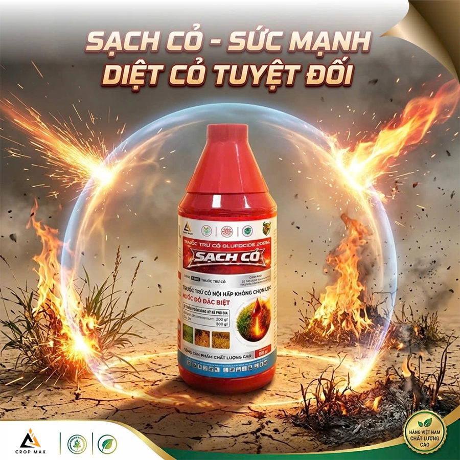 SẠCH CỎ –  Diệt cỏ cháy nhanh_thumbnail_4