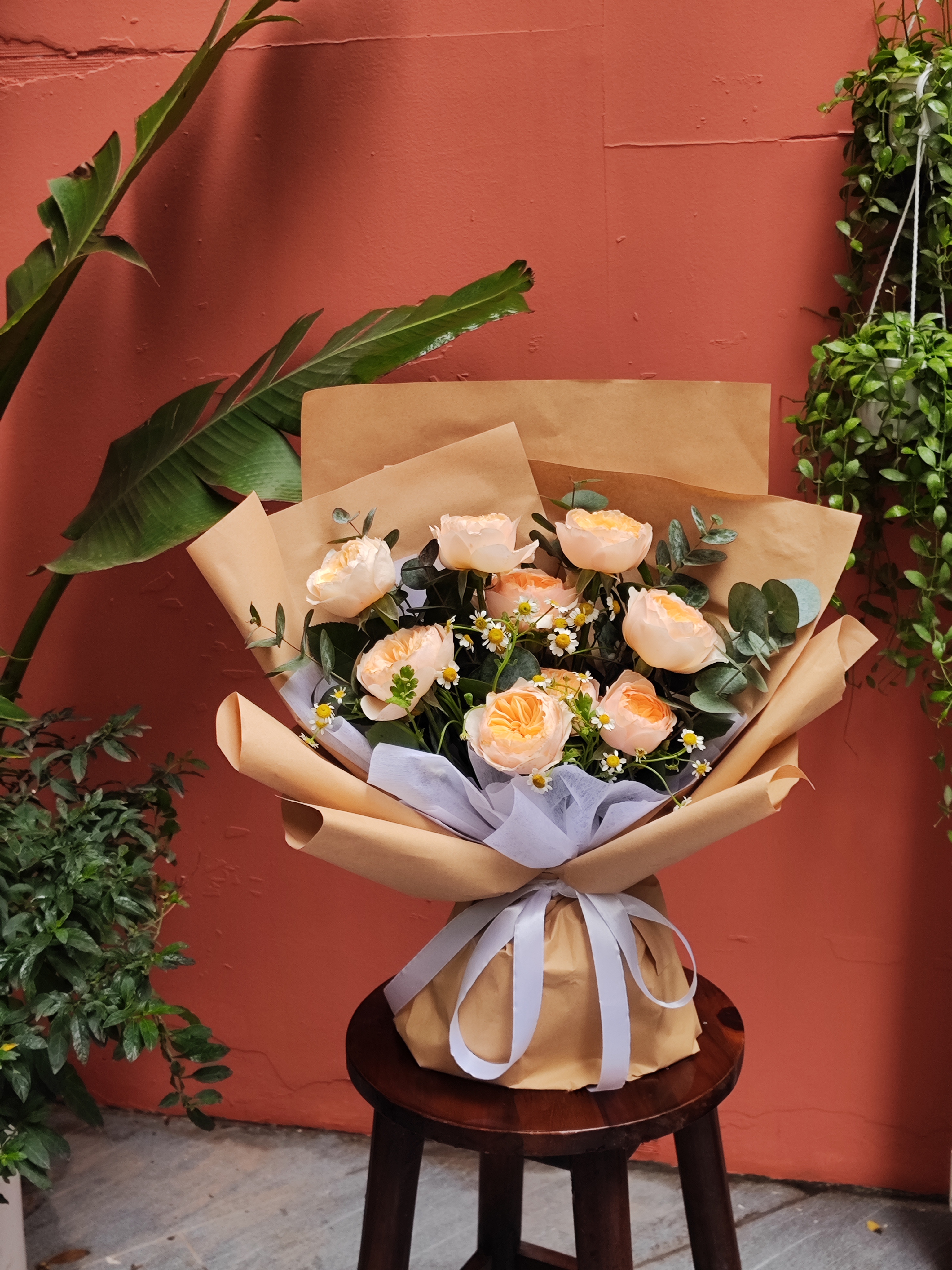 Juliet Rose mix lá bạc  - Size M