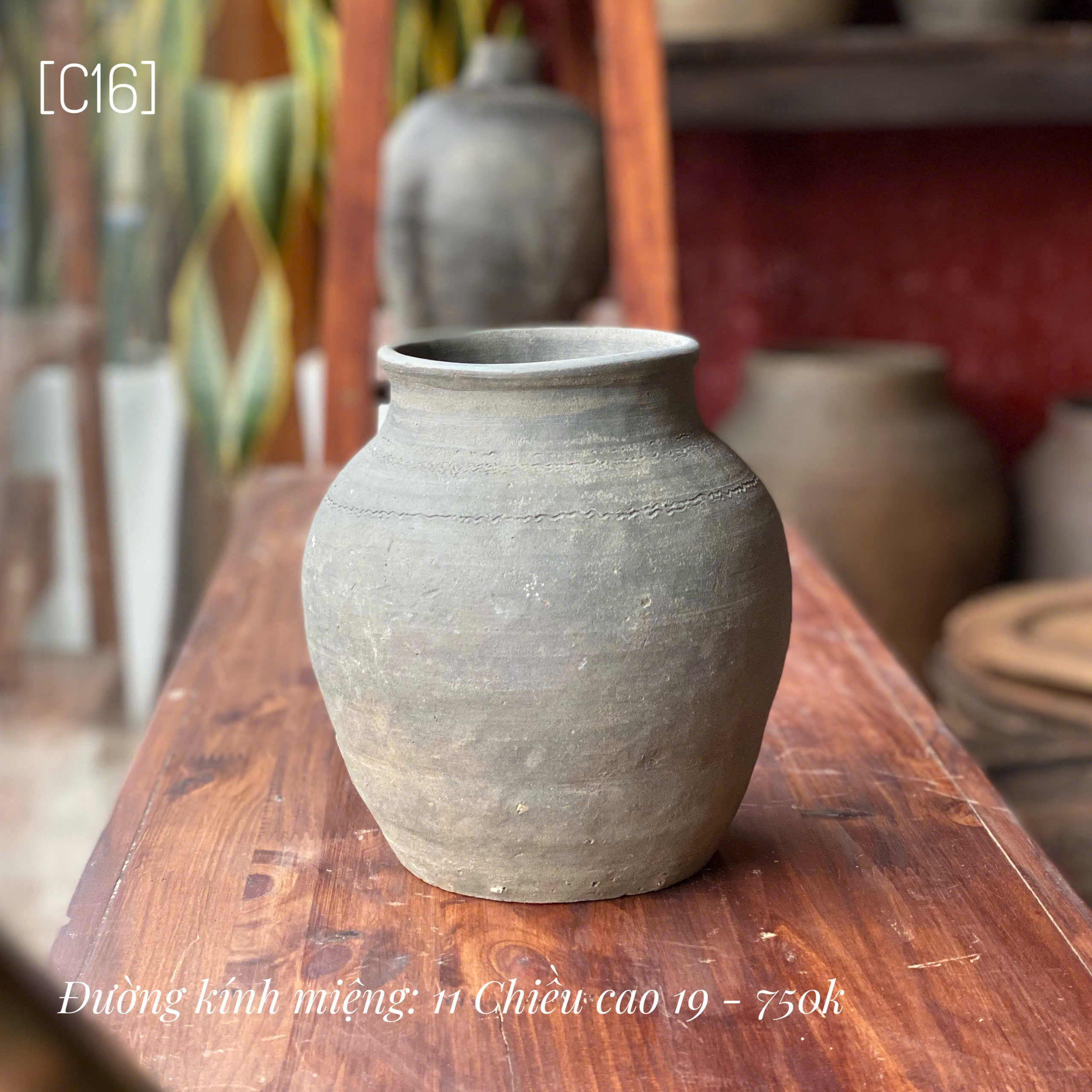 Bình Mường Chanh nhỏ - C16