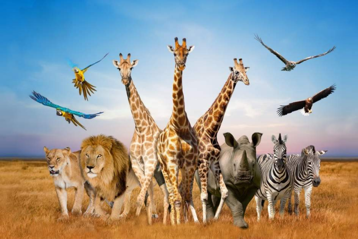 Thái Lan: Bangkok - Pattaya - Safari 5N4Đ_thumbnail_3