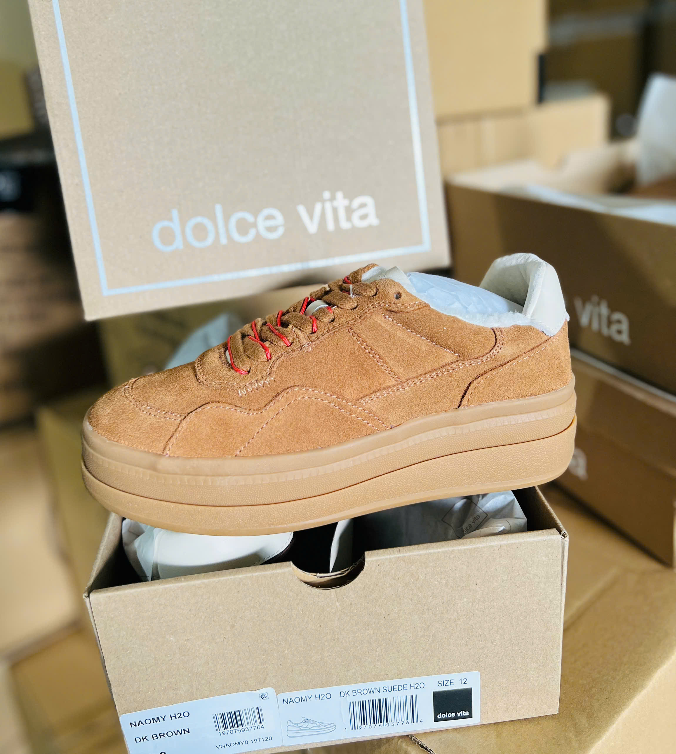 GIAY DOLCE VITA_thumbnail_1