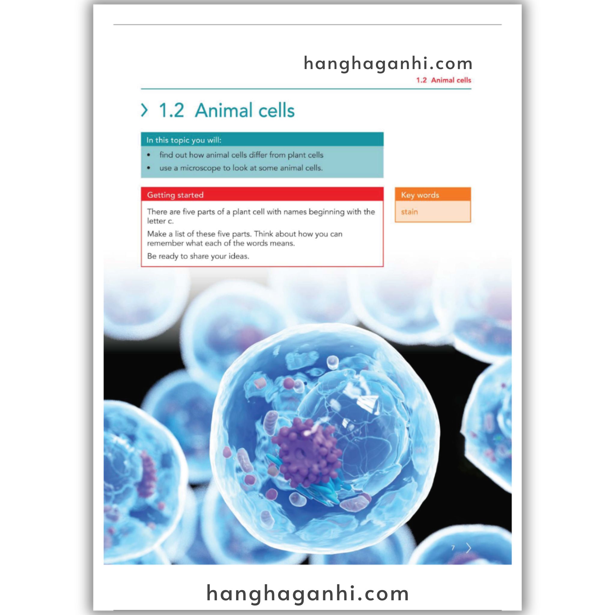 Cambridge Level 7 Lower Secondary Science Learner’s Book 2nd Edition 2021_thumbnail_4
