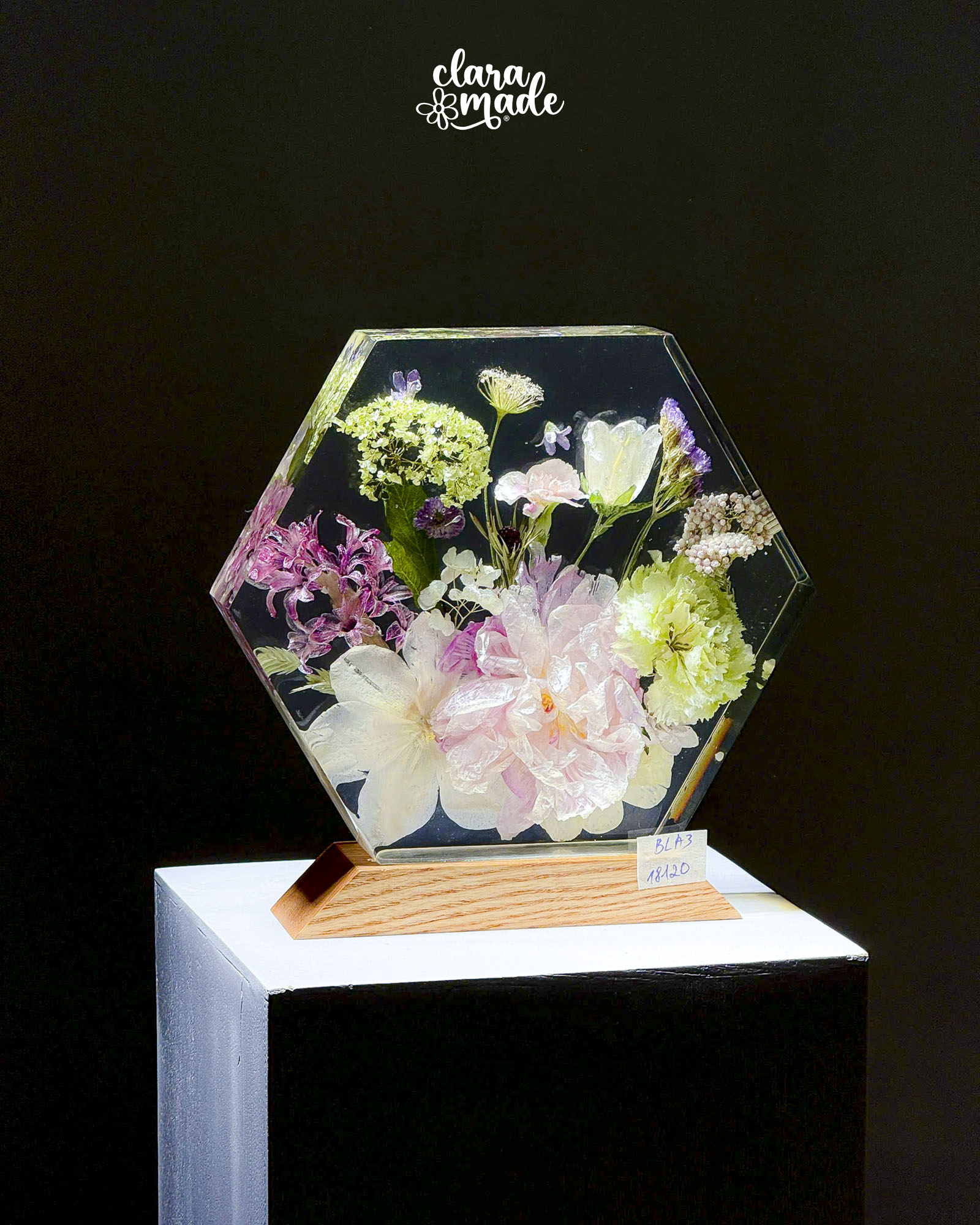 Đèn hoa khô Bloomlight BLA31812O