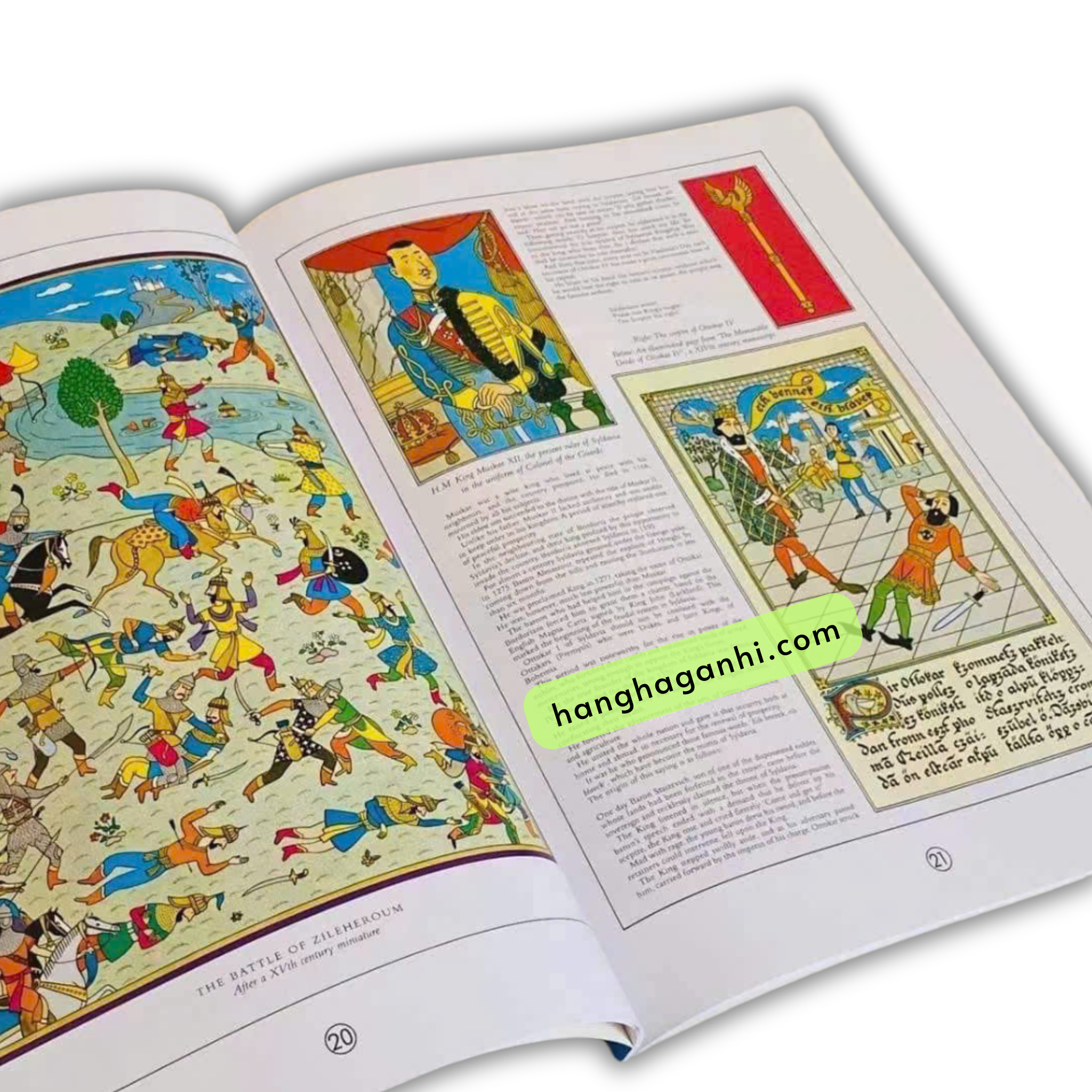 Bộ 23 cuốn The adventures of Tintin màu vàng, Cuộc phiêu lưu của Tintin sách nhập_thumbnail_1