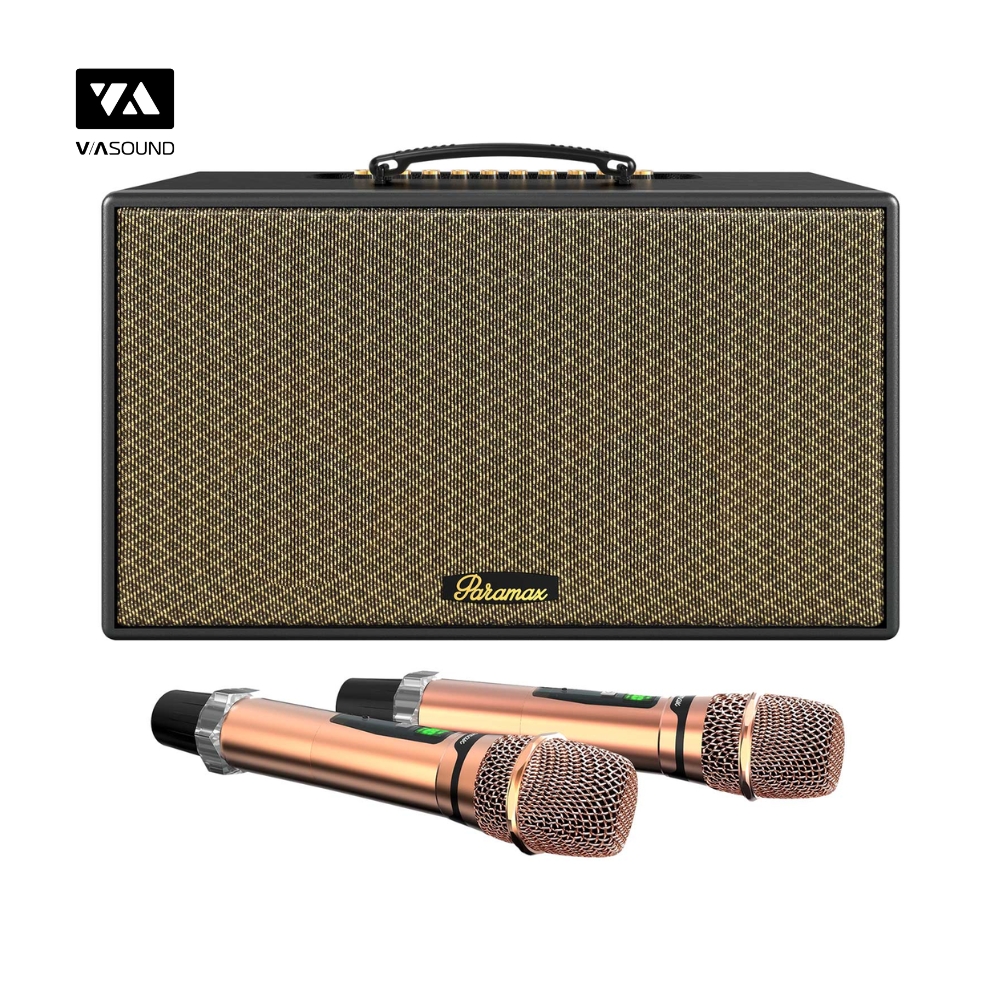 Loa Xách Tay PARAMAX AURA_thumbnail_11