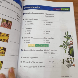 Reading For Vocabulary