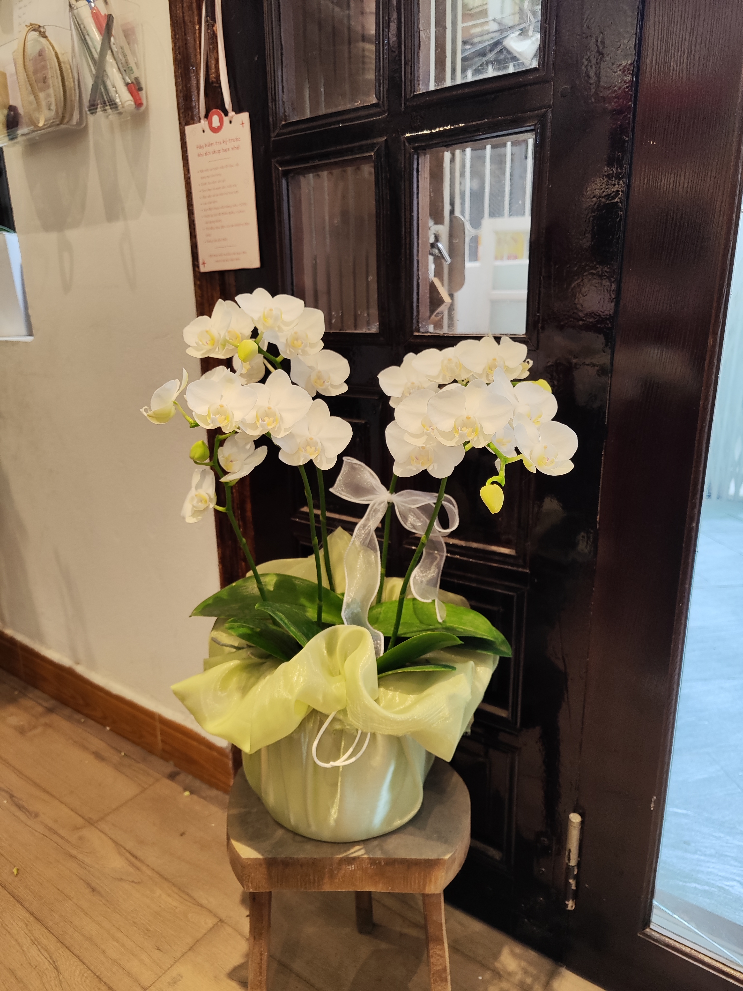 Chậu Lan Hồ Điệp (Tiểu Lan) – Màu trắng (4-5 cành)