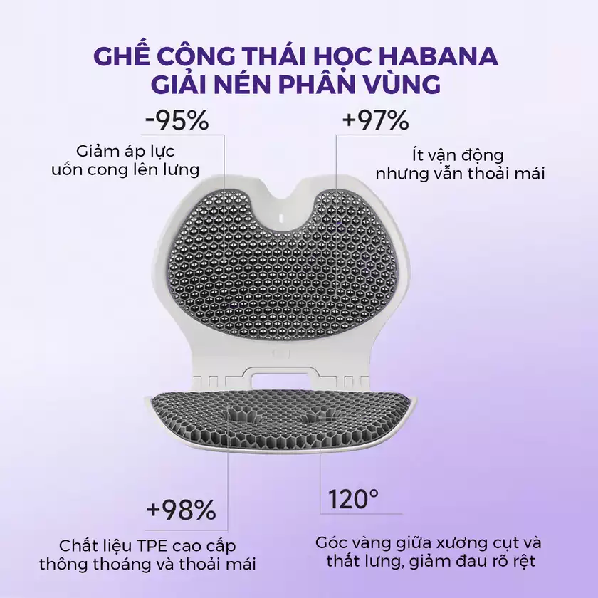 Ghế Chỉnh Dáng EGO HABANA_thumbnail_1