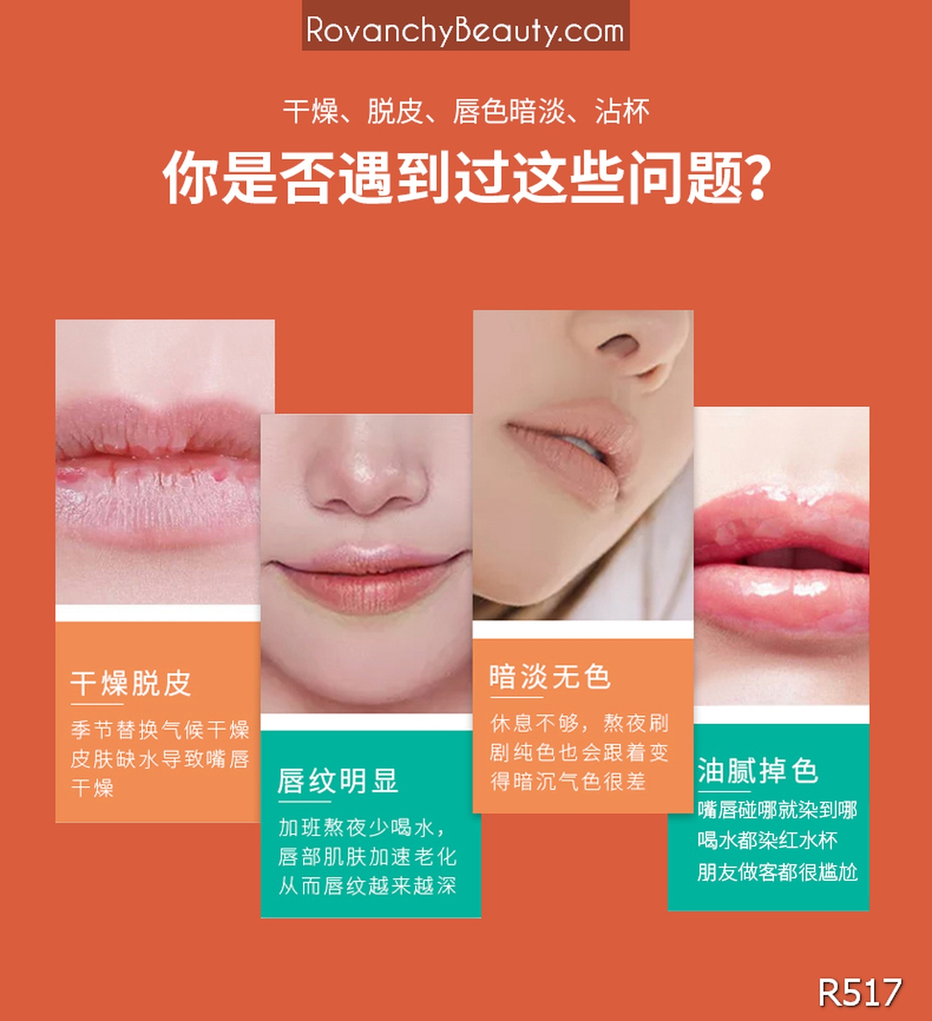 Son dưỡng môi ROVANCHY chiết xuất tự nhiên - Chống nứt nẻ, lên màu tự nhiên, an toàn cho bà bầu R517_thumbnail_17