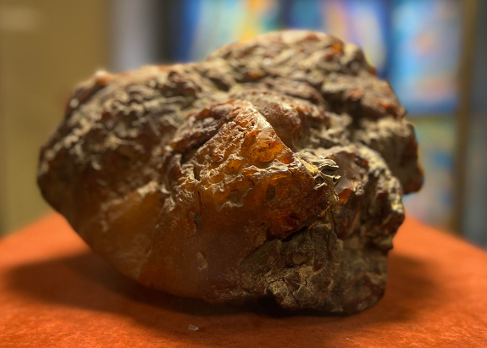 Hổ Phách Baltic Kaliningrad Khác Gì So Với Hổ Phách Các Khu Vực Khác?