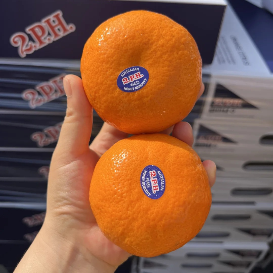 Quýt Úc Vàng_thumbnail_4