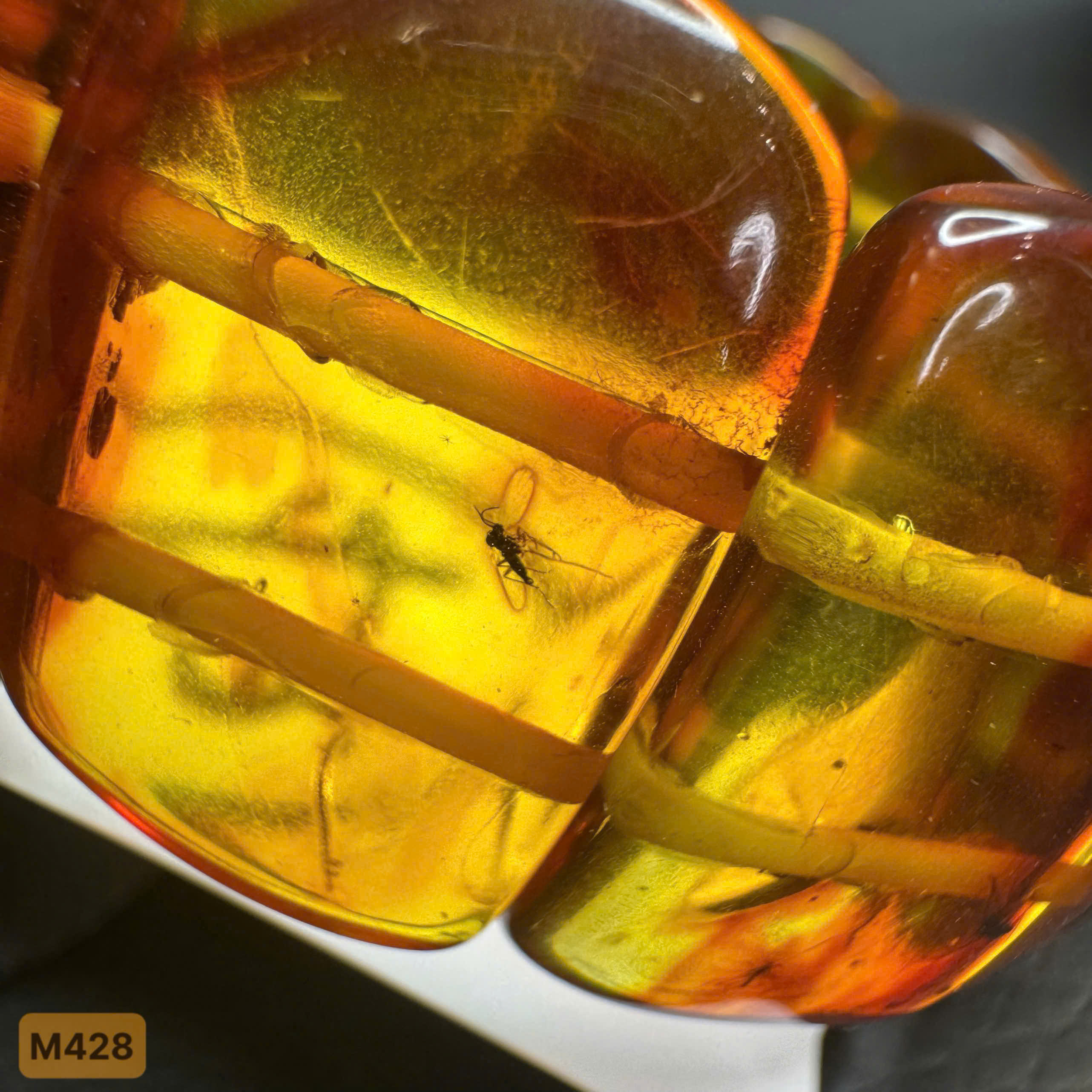 Lắc Bản Côn Trùng Ánh Huyết - M428_thumbnail_2