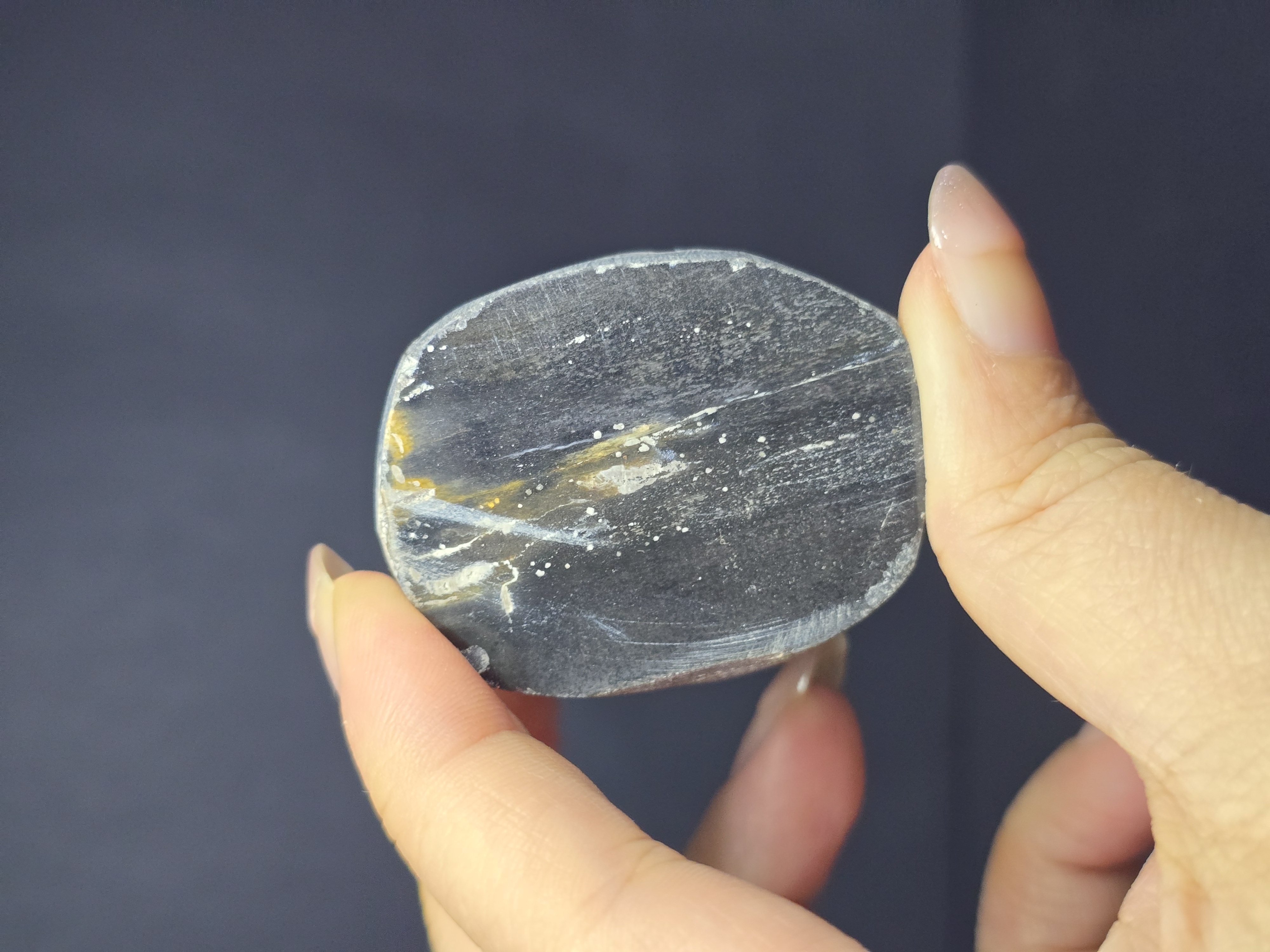 Gỗ Hóa Thạch Đã Được Mài Bóng 2 Mặt_thumbnail_5