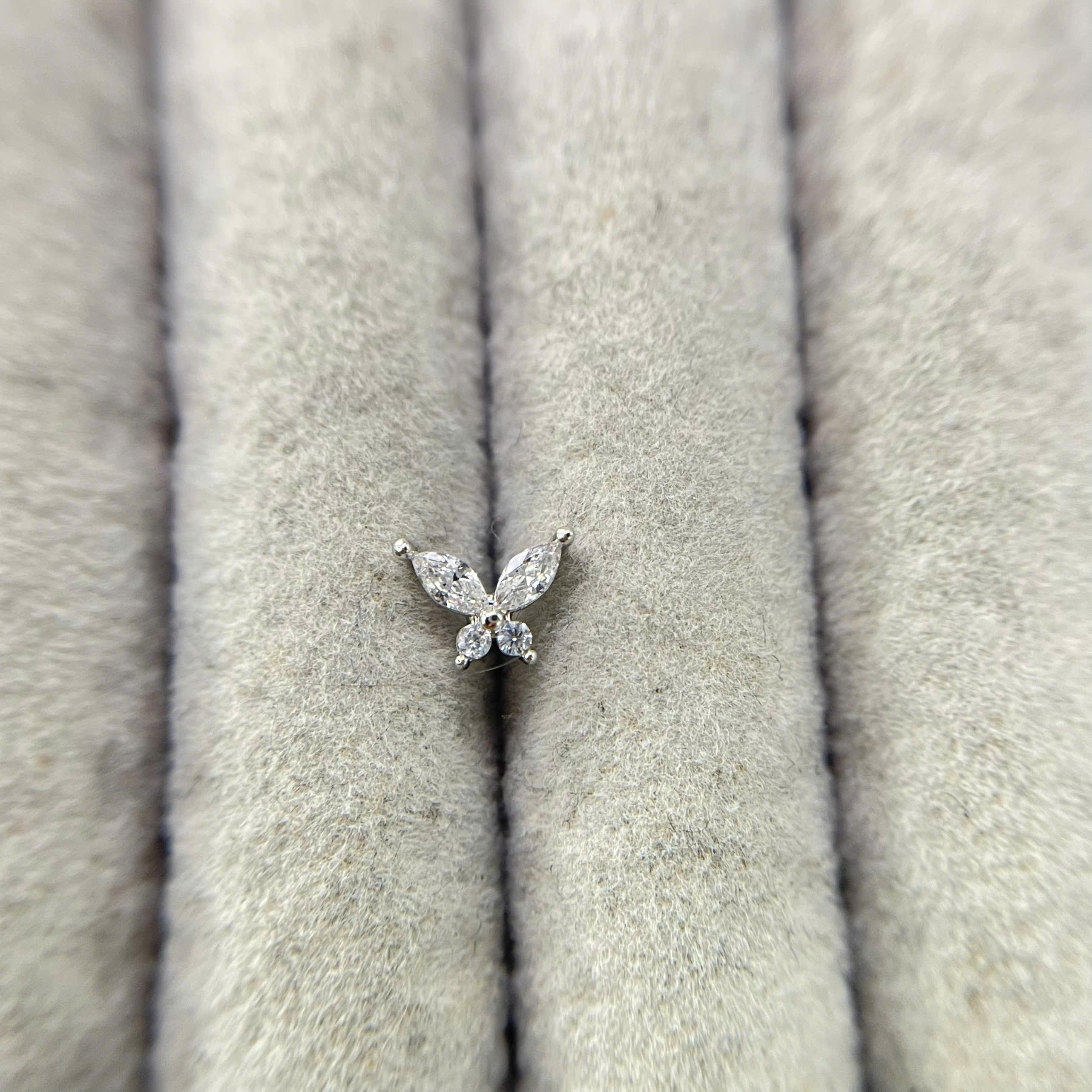 mũi C con bướm trắng bốn cánh múp dưỡng theeeee_thumbnail_1