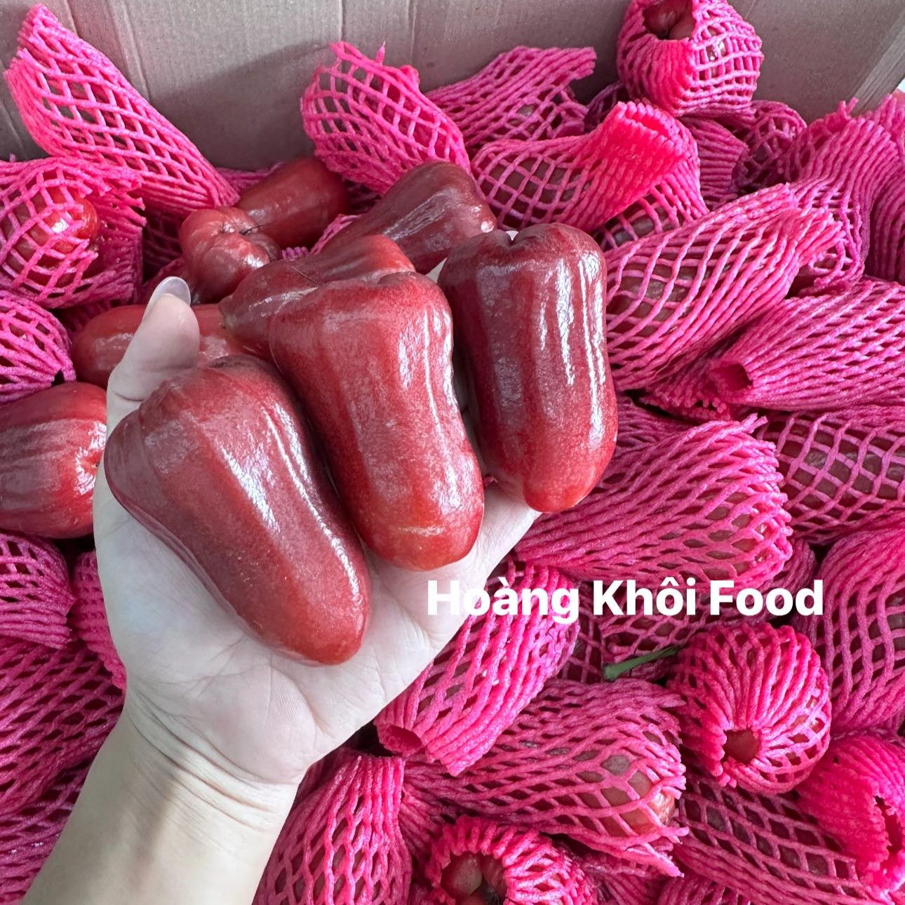 Mận An Phước_thumbnail_2