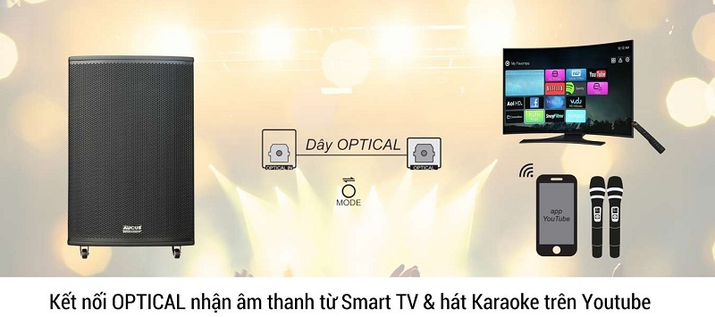 loa kéo acnos ak1000 kết nối optical