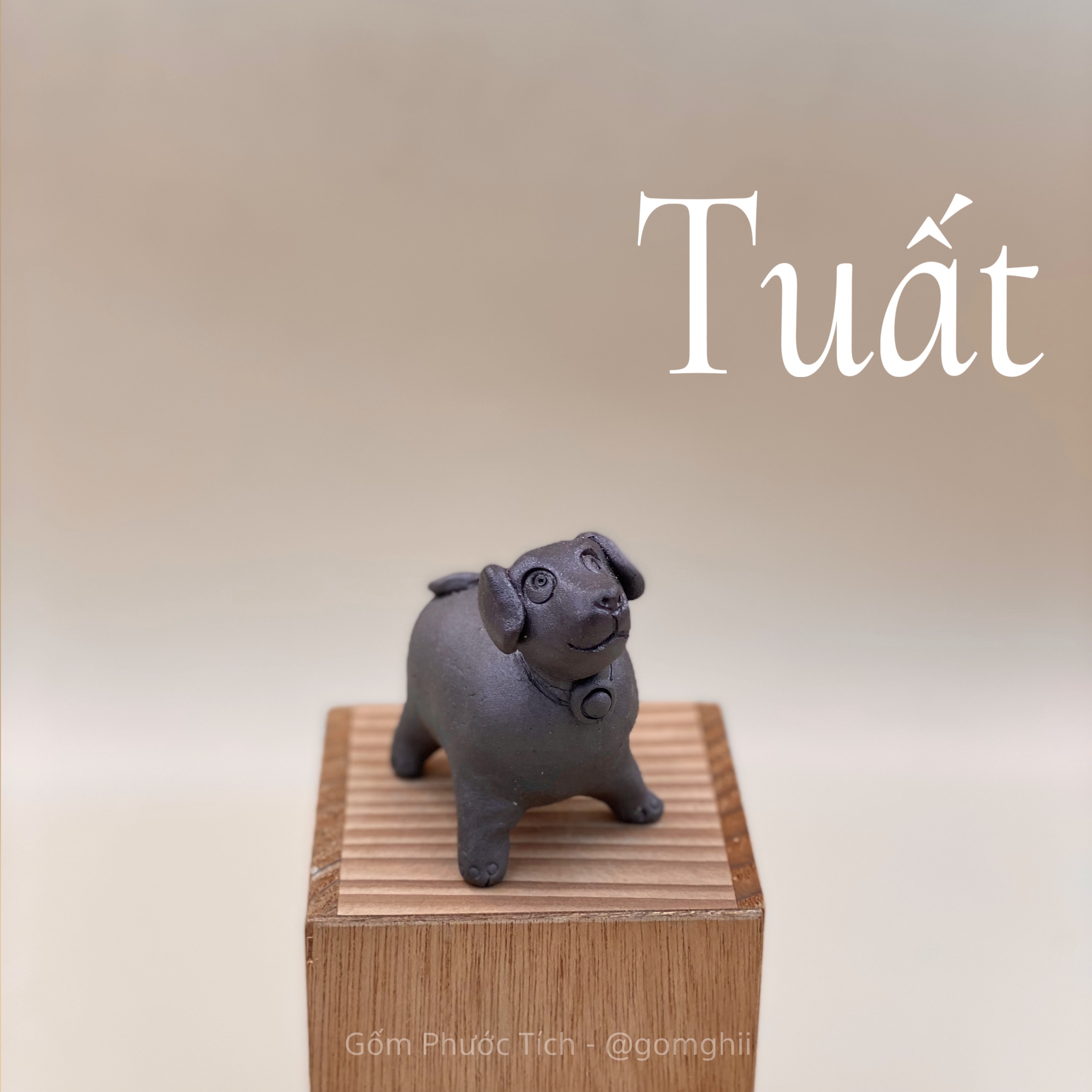 Tu Huýt Phước Tích - Tuất