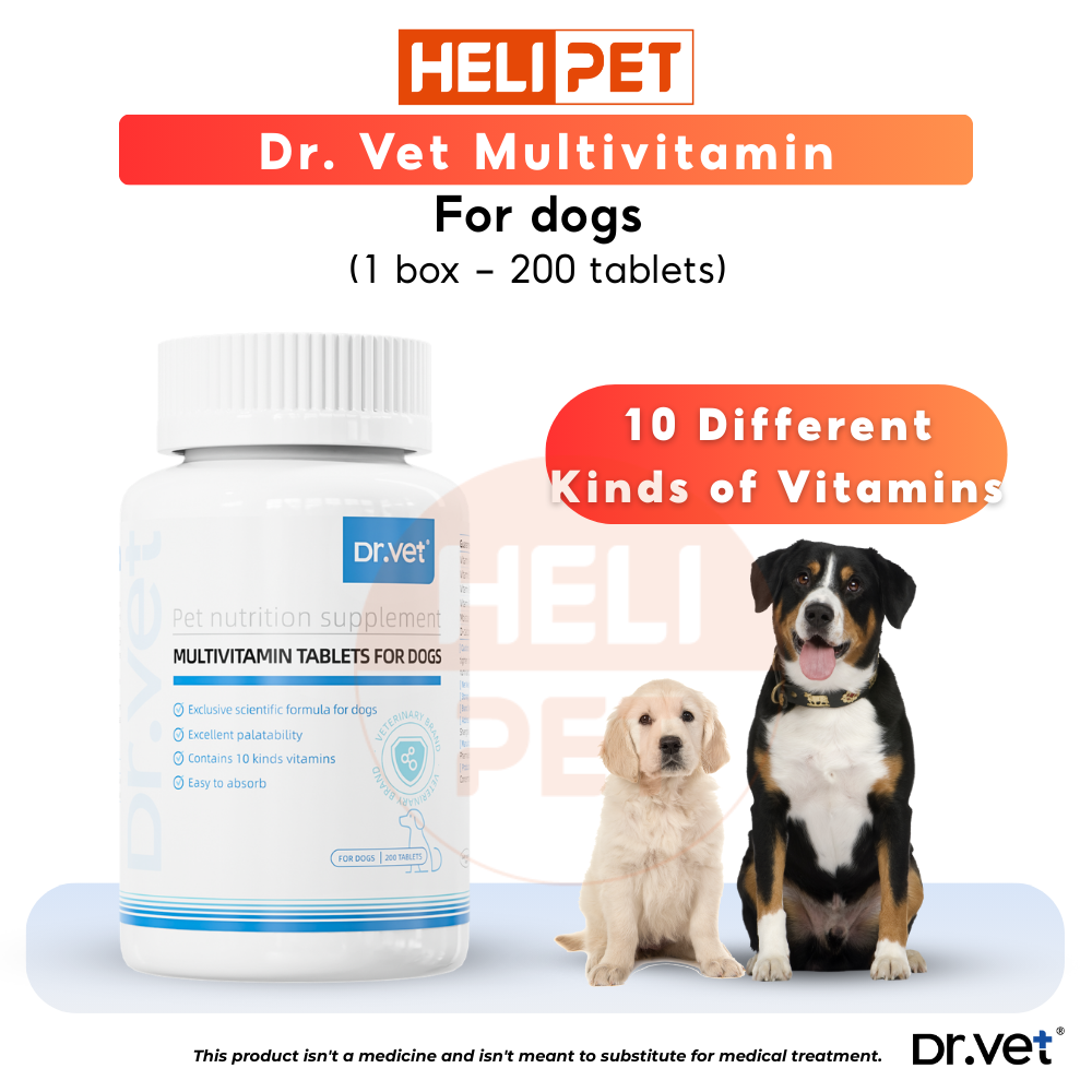 DR.VET Multivitamin for Dogs