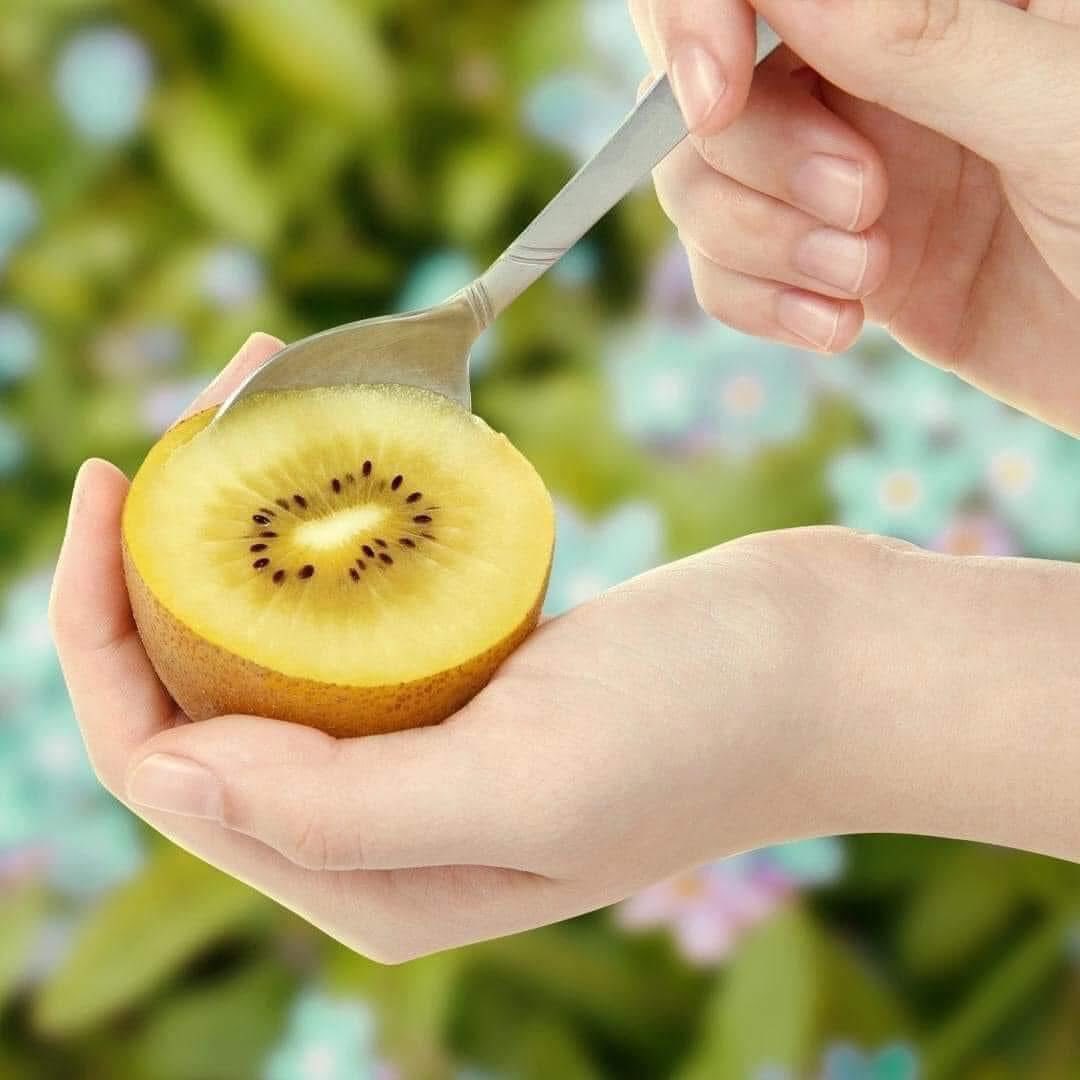 Kiwi Vàng_thumbnail_2