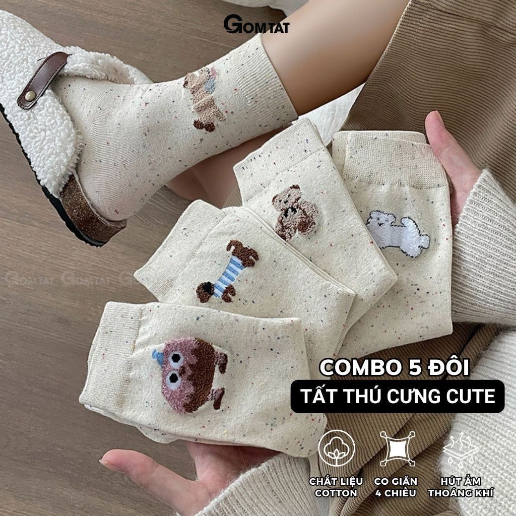 Set 5 đôi tất cao cổ nữ họa tiết – JIN-2516