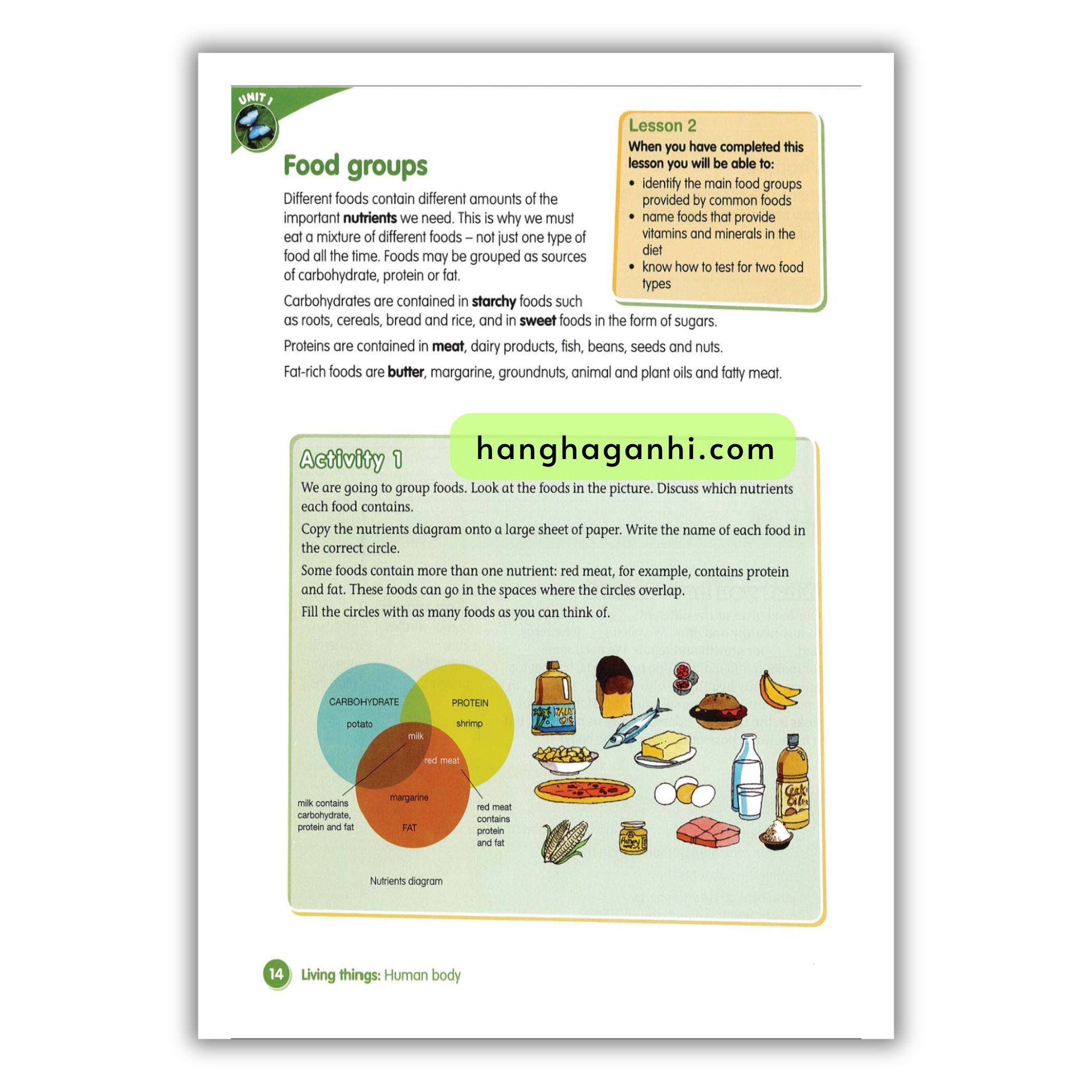 Macmillan Science 5 Pupil’s book_thumbnail_12