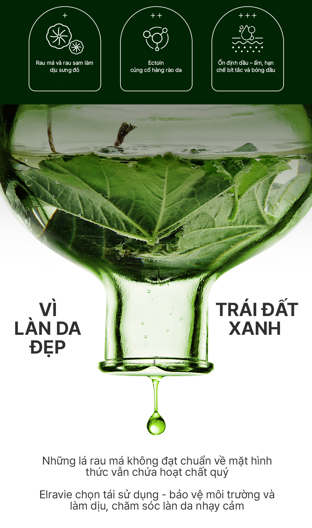 Kem dưỡng ẩm phục hồi giảm dầu mụn và bảo vệ da elravie HyCicaMue Defence Cream 50ml_thumbnail_3