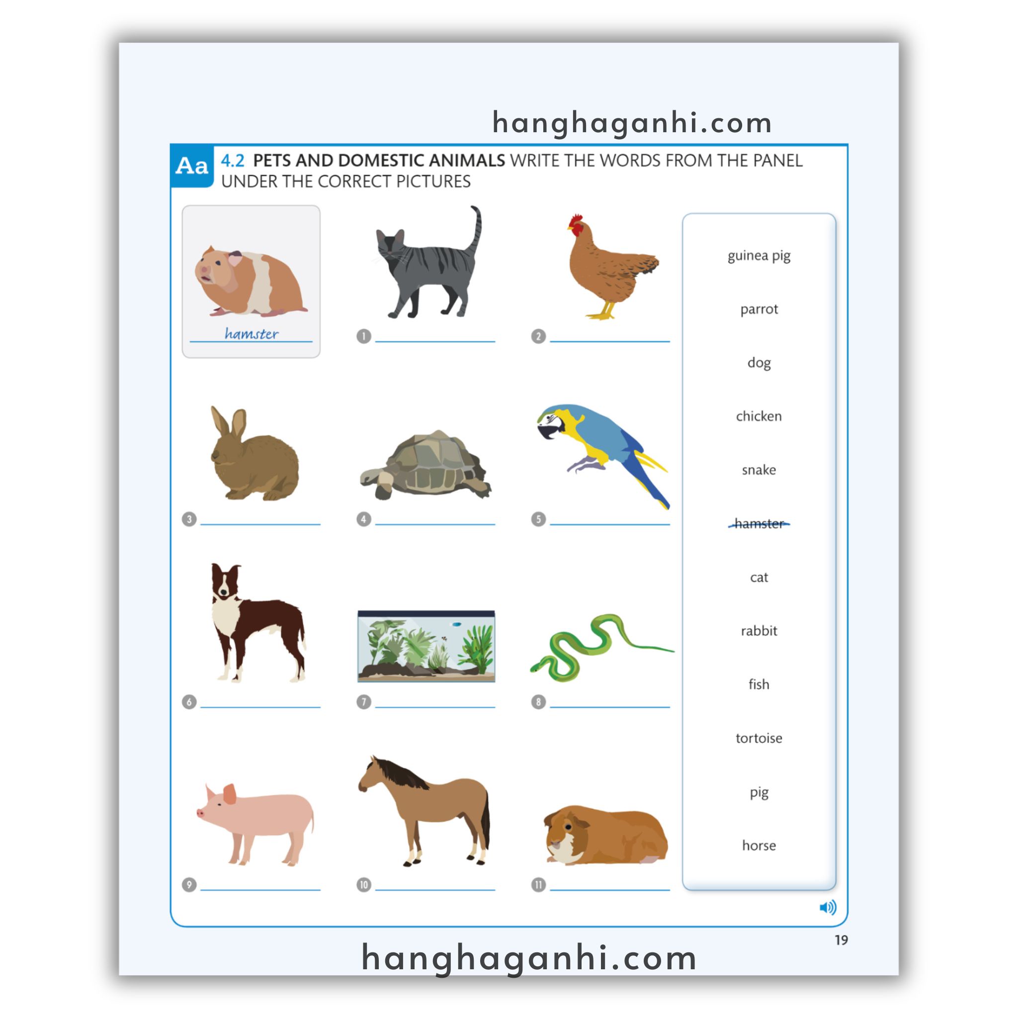 [Sách] English For Everyone Level 1 Beginner Practice Book_thumbnail_3