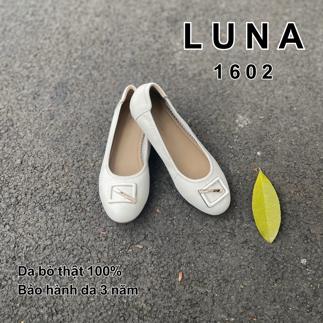 Luna 1602_thumbnail_2