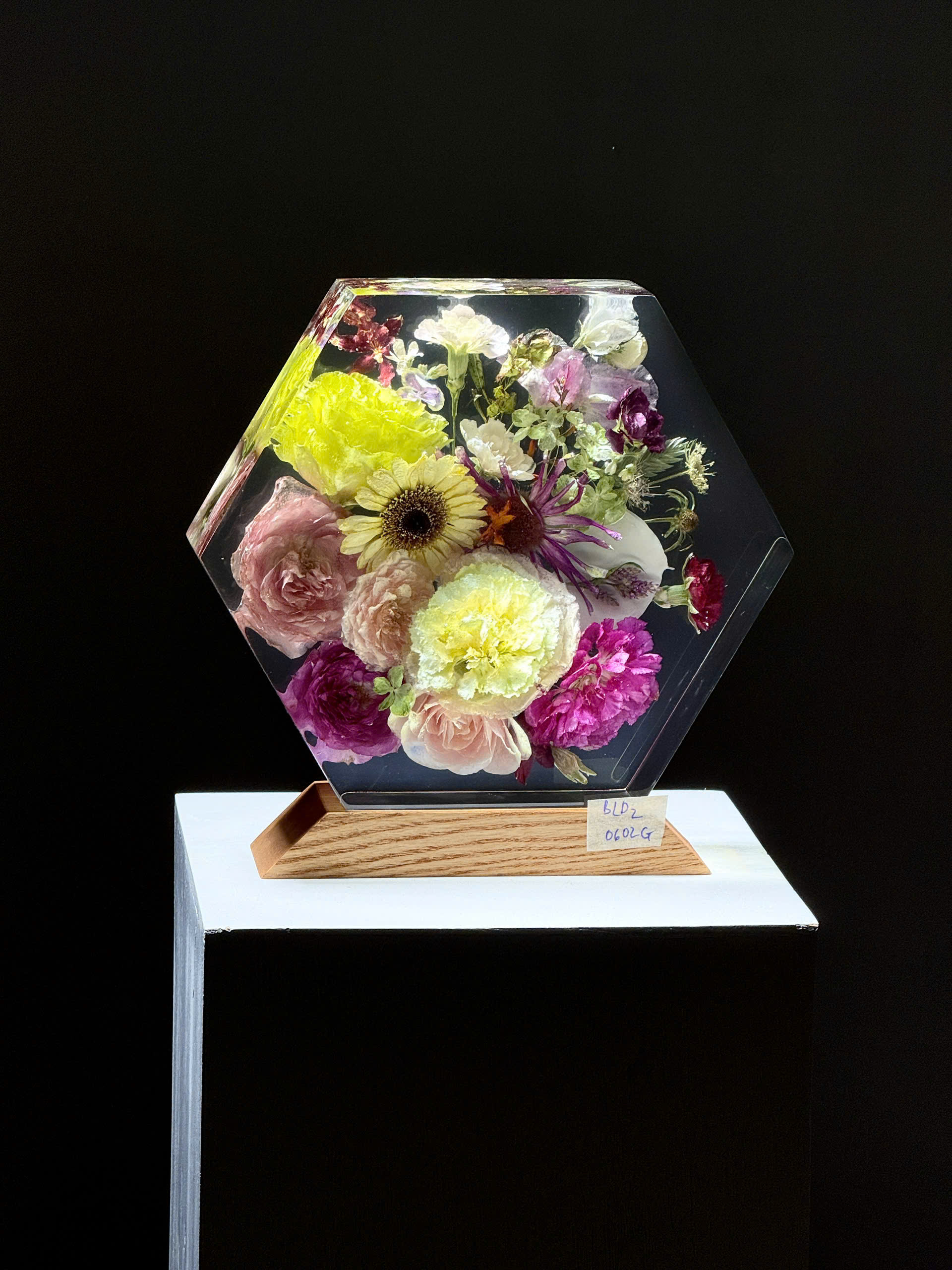 Đèn hoa khô Bloomlight BLD20602G