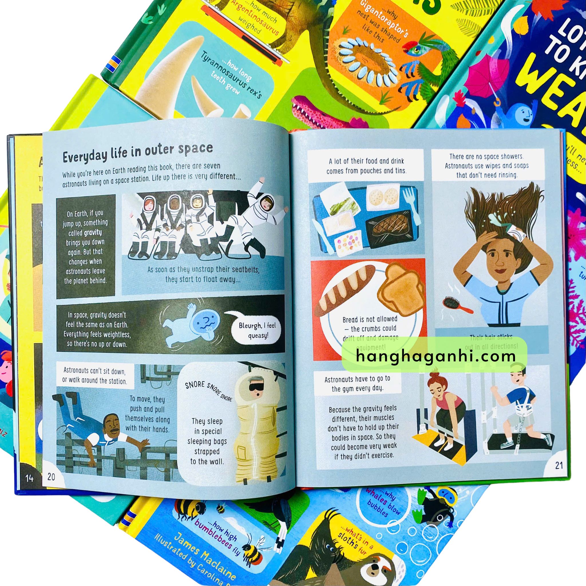 Usborne Lots of Things to Know About- Bộ 5 cuốn_thumbnail_6