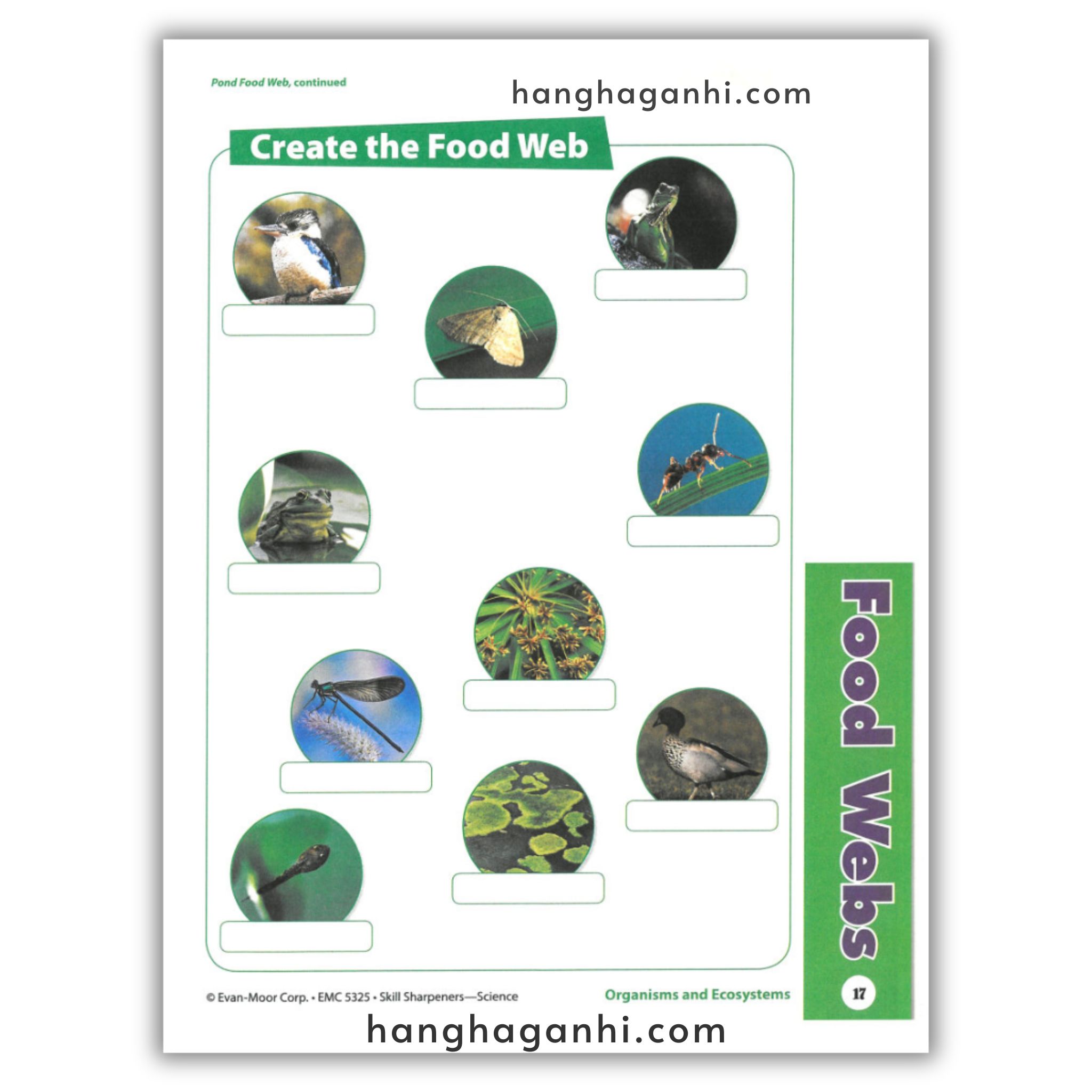 Skill Sharpeners Science Grade 5_thumbnail_12