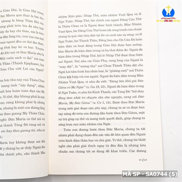 Đức Maria Và Niềm Hy Vọng_thumbnail_3