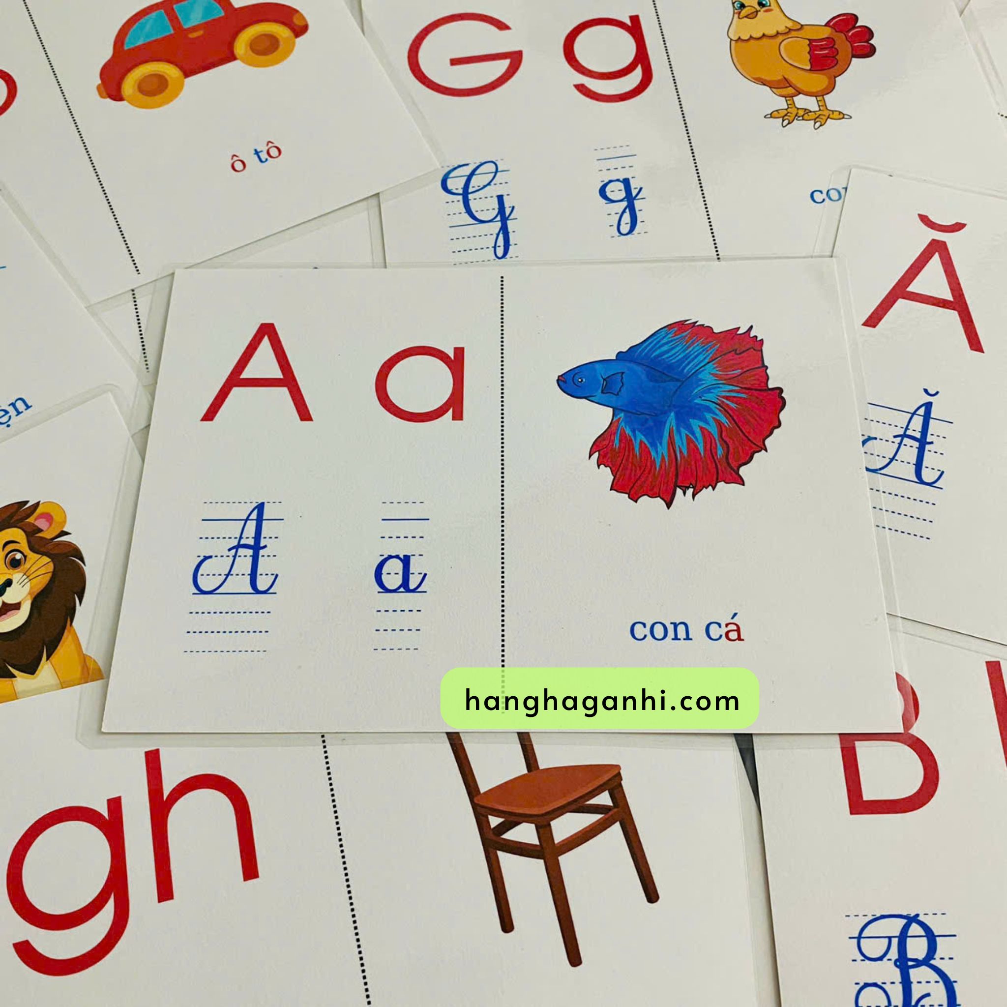 Bộ 40 thẻ flashcard Tiếng Việt_thumbnail_3