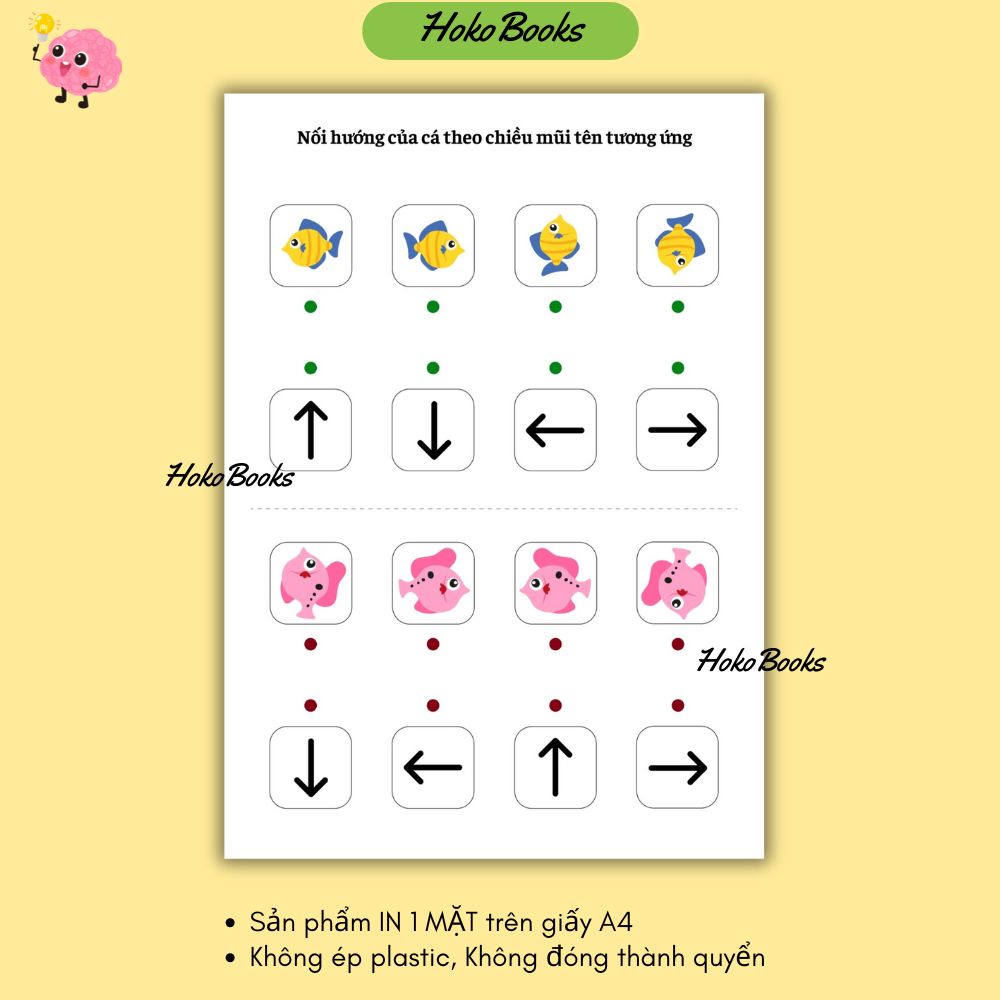 HL3 Bộ 23 tờ Học liệu định vị hướng IN A4 1 MẶT, KHÔNG ÉP PLASTIC, KHÔNG ĐÓNG QUYỂN_thumbnail_3
