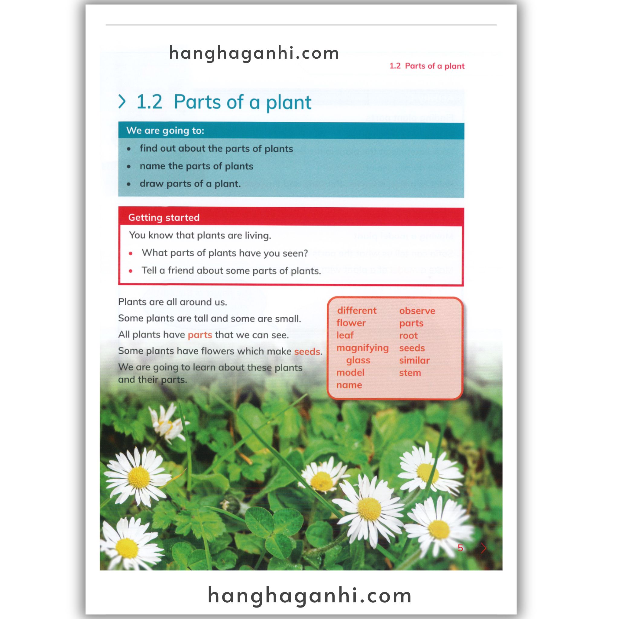 Cambridge Level 1 Primary Science Learner’s Book and Workbook 2nd edition 2021_thumbnail_5