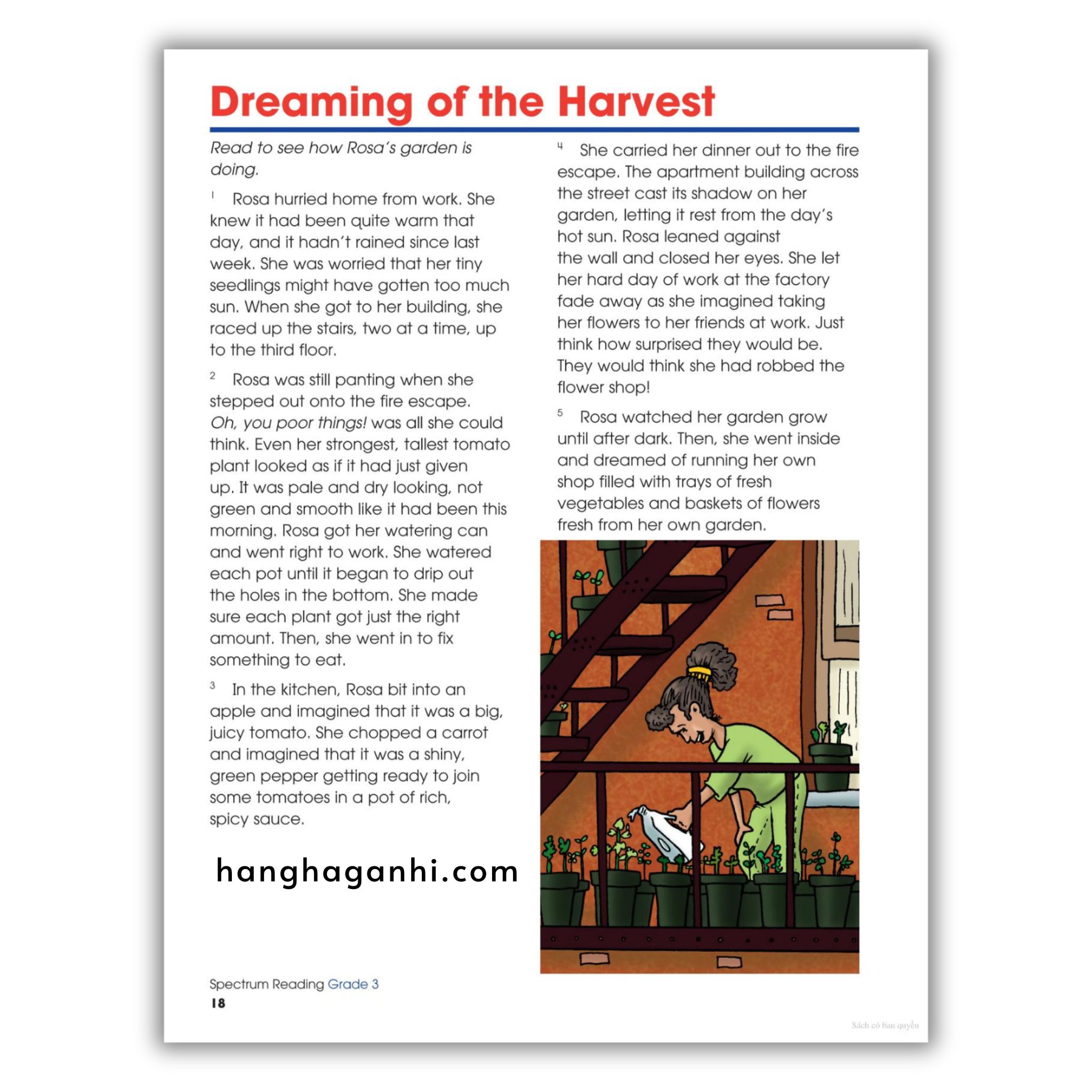 Sách Spectrum Reading Workbook Grade 3_thumbnail_10