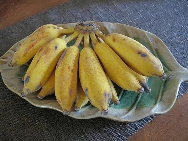 Chuối Tây Hà Tĩnh