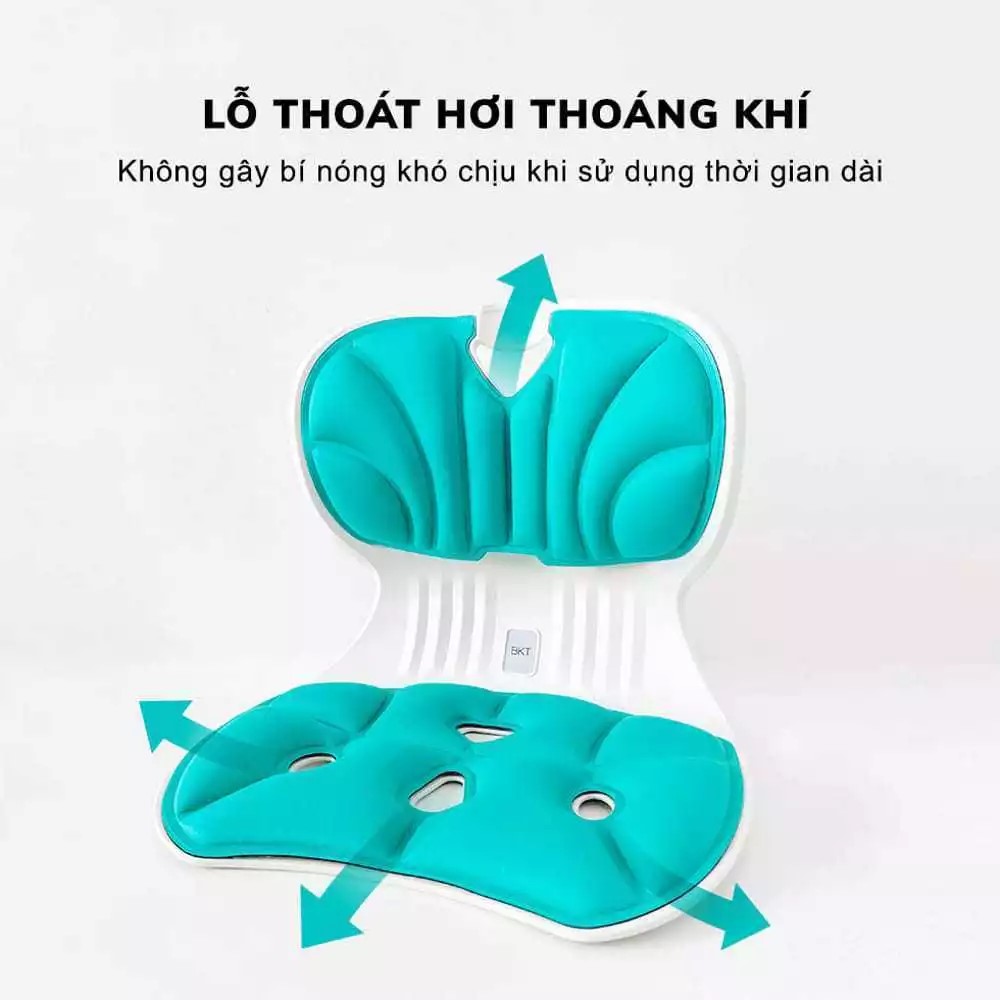 GHẾ CÔNG THÁI HỌC