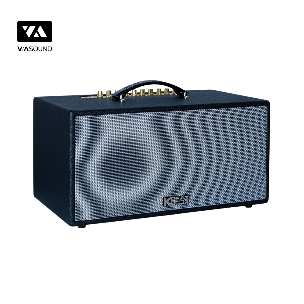 Loa Xách Tay ACNOS CS445D