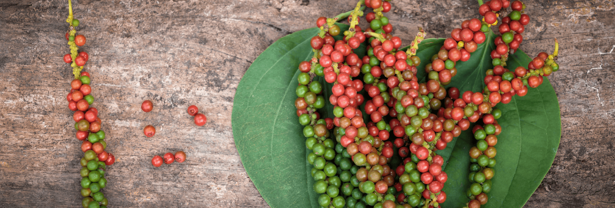 Tiêu sạch chín cây Hama_thumbnail_1