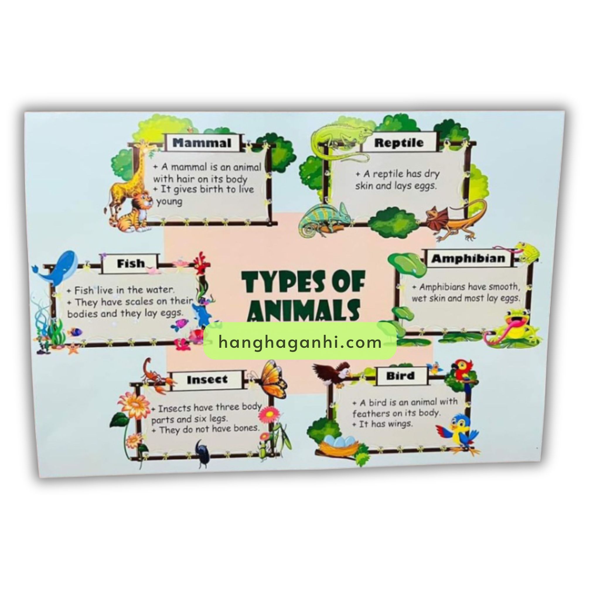 Bộ Mindmap Thuyết Trình 46 Chủ Đề Theo Sơ Đồ Tư Duy_thumbnail_9