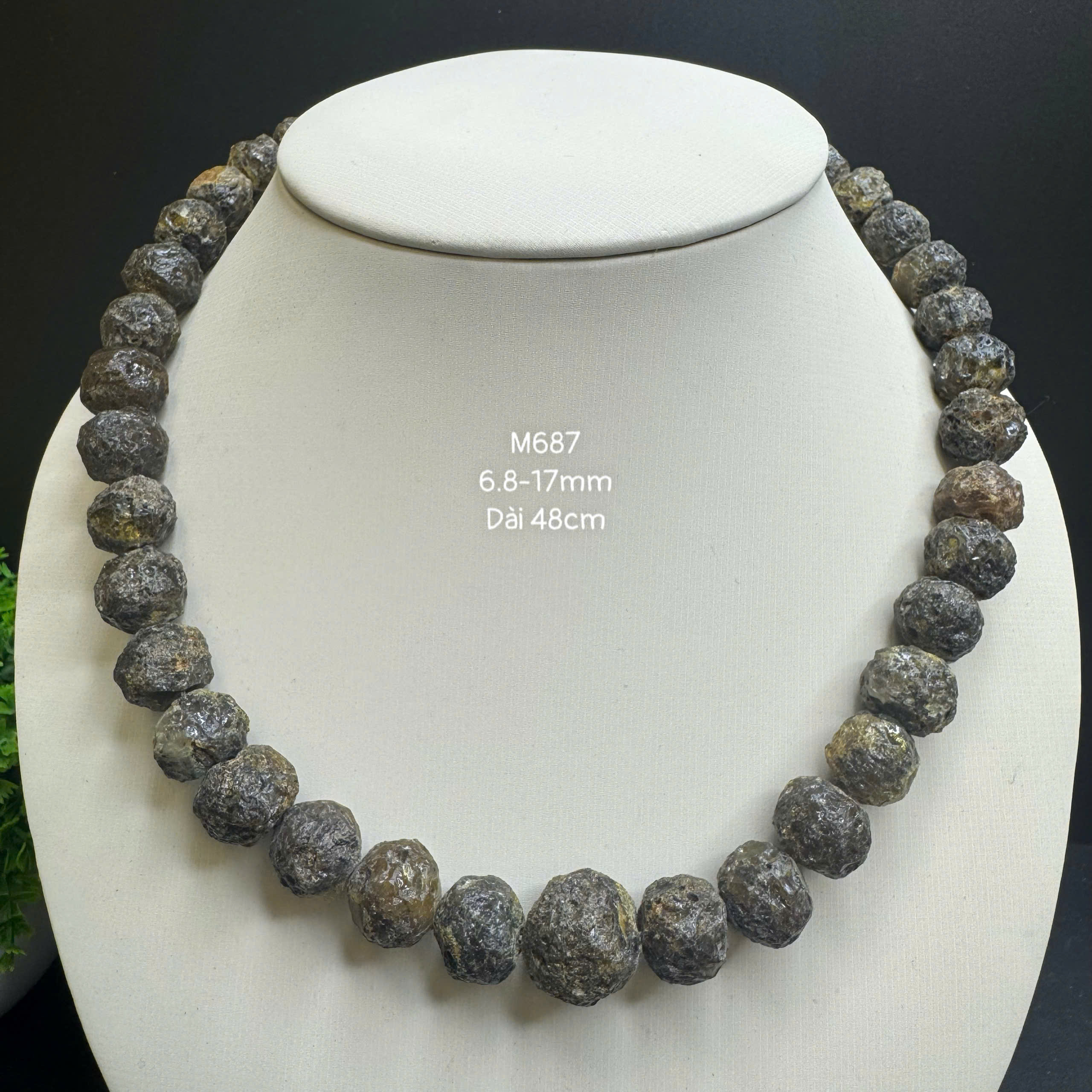 Vòng Cổ Thô Y Tế - M687