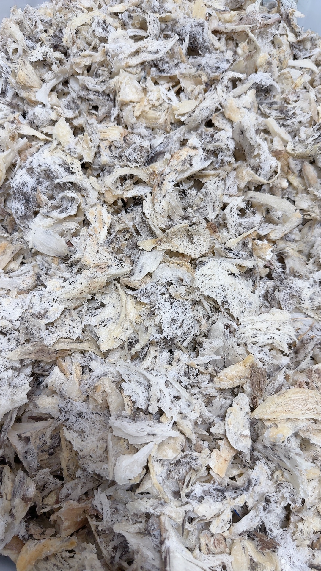 [T71] VỤN THÔ XƠ MƯỚP- 50GR