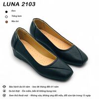Luna 2103