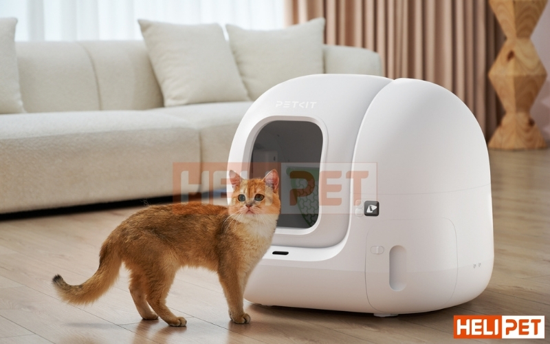 Petkit Pura Max 2 2025 Cat Litter Cleaner